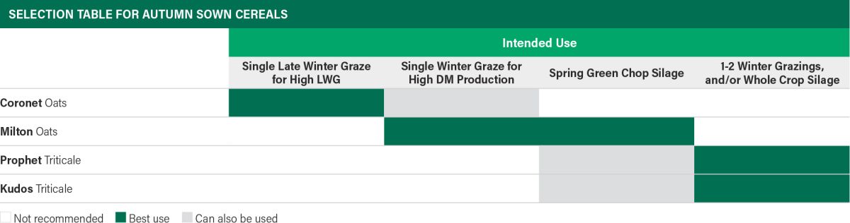 Table advising which forage cereal to choose based on required outputs
