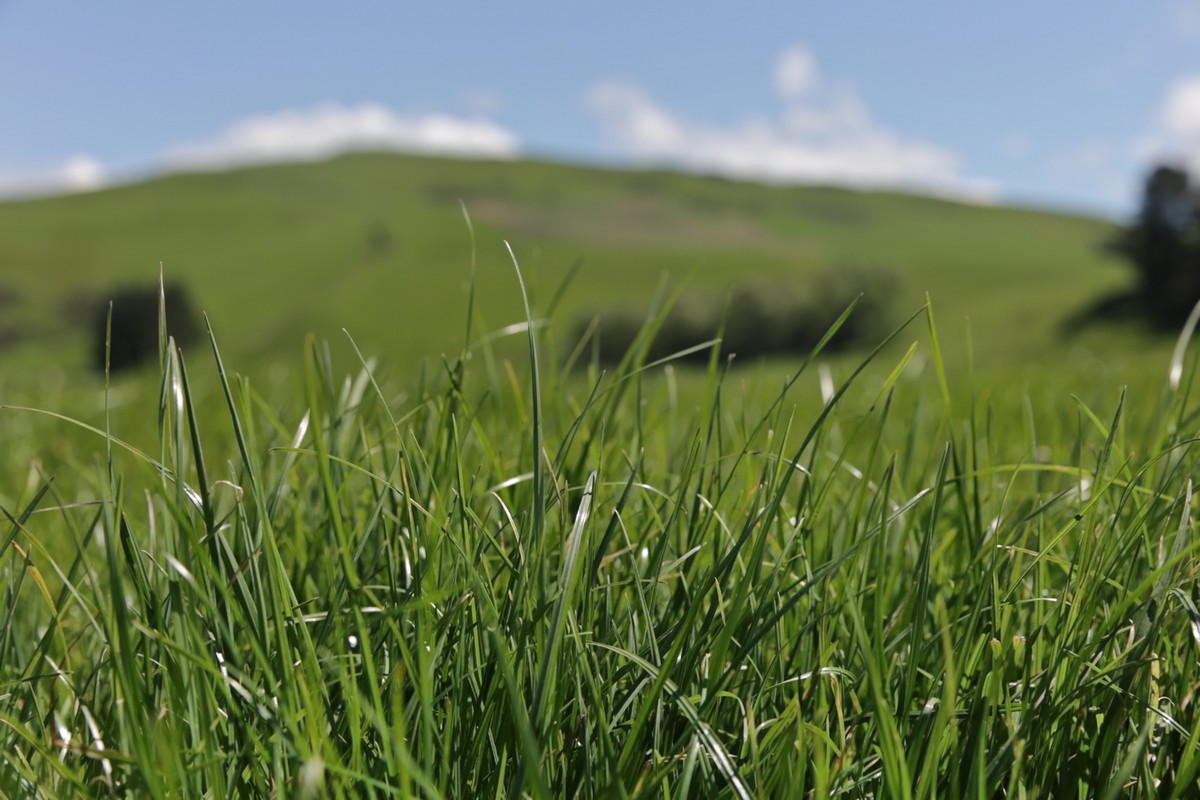 Kingston product Image