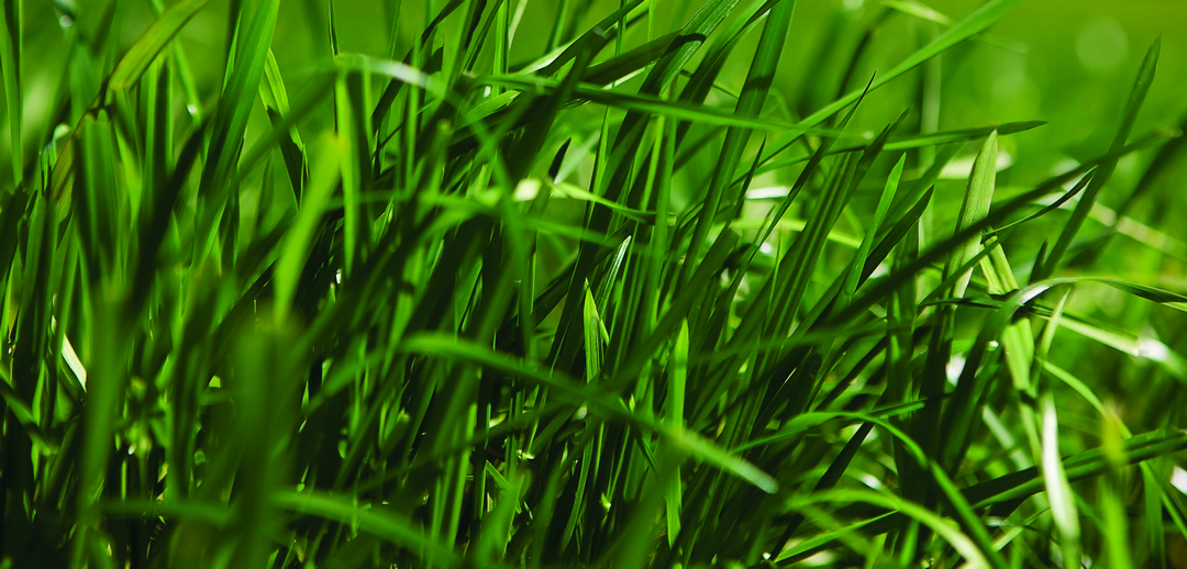 ONE50 Homepage CTA Image