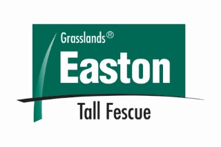 Easton tall fescue