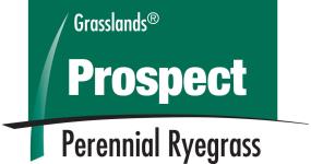 Prospect logo