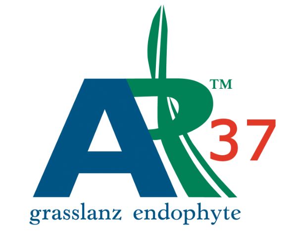 AR37 logo