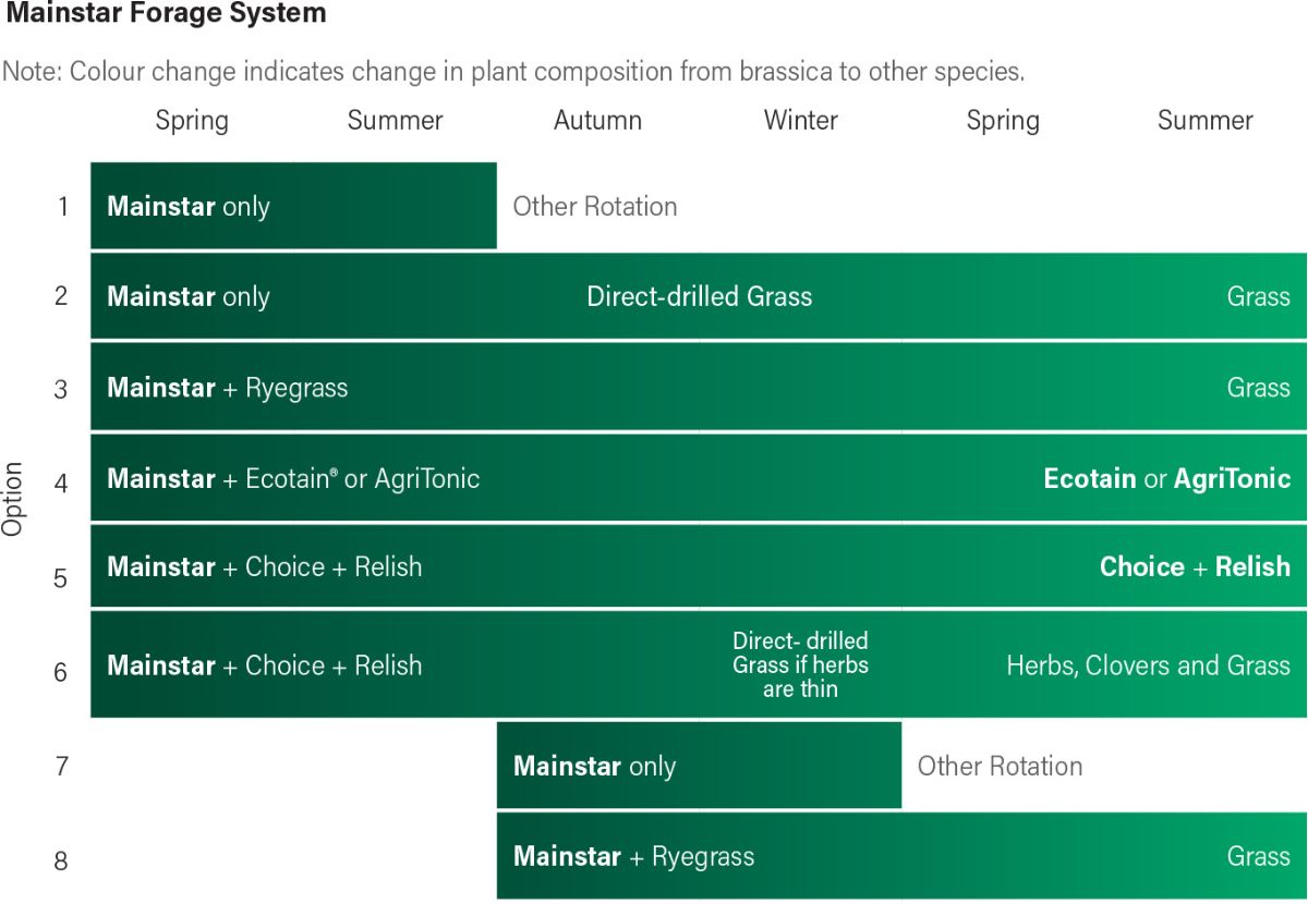 Graphic showing how Mainstar brassica can work in a variety of mixes, when the crop will be ready and how growth patterns vary between species and seasons