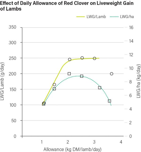 Graph showing the effect of daily allowance of red clover on liveweight gain of lambs