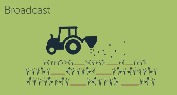 Illustration showing rows of mixed pasture and a tractor broadcasting seed
