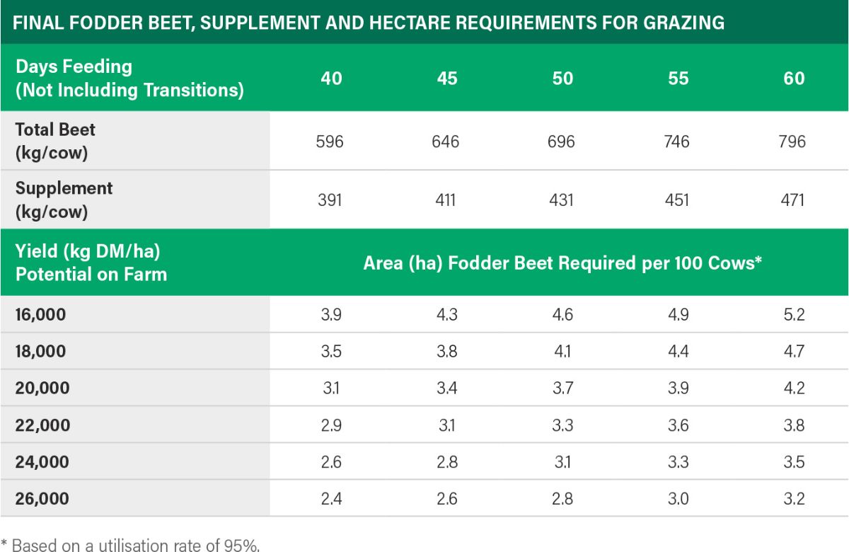 Table showing the final fodder beet, supplement and hectare requirements for grazing based on the number of days grazing required