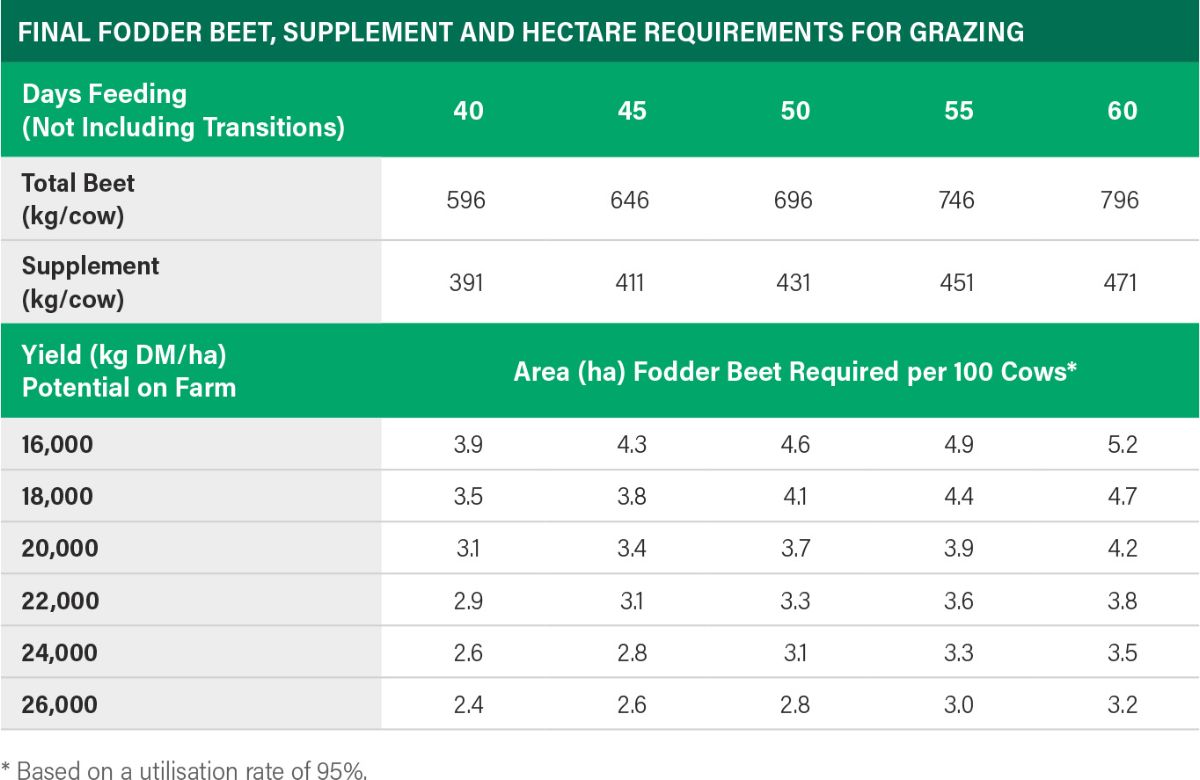 Fodder Budget.pdf Fodder Beet Feed Budgeting | Advice | Agricom