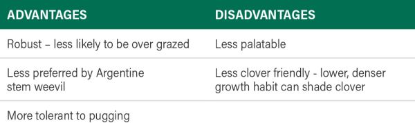 Table showing the advantages and disadvantages of Diploid ryegrass