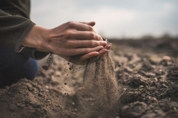 A person holds a handful of soil, letting it run through their fingers