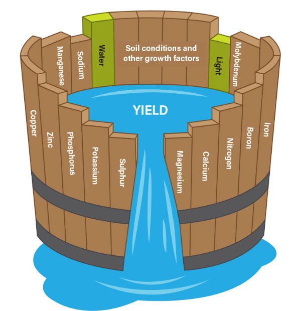Image of a leaky bucket, illustrating Justus von Liebig's Law of the Minimum
