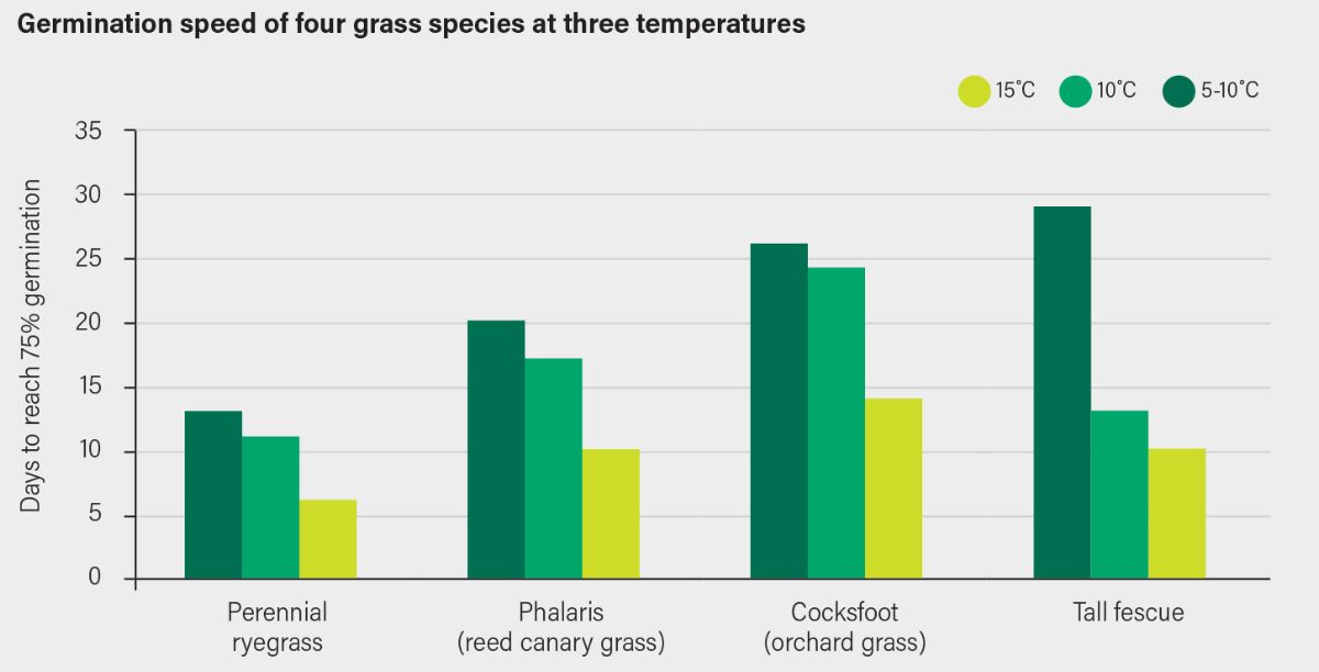 Table showing the germination of different grass species at three different ground temperatures