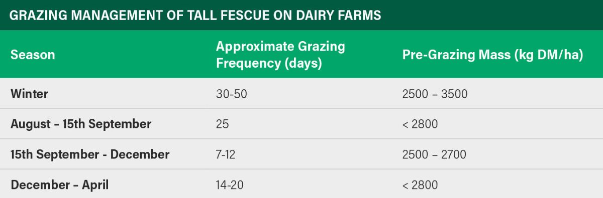 Table showing the best practice approach to grazing tall fescue 