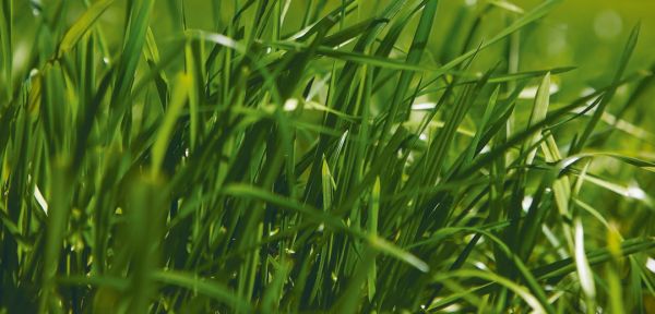 ONE50 Homepage CTA Image