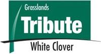 Tribute white clover Logo