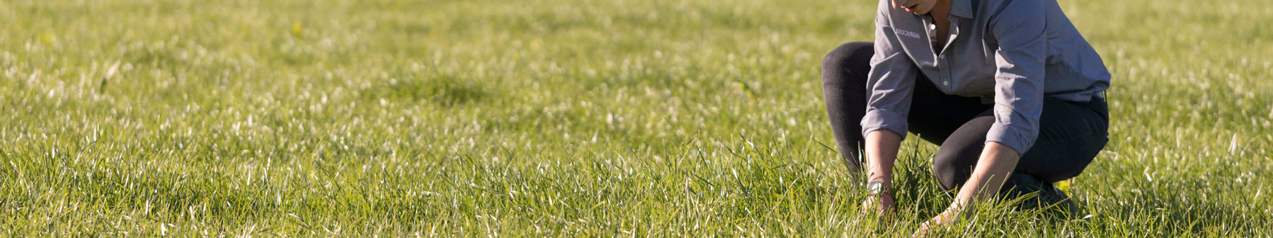 An Agricom agronomist examines soil and pasture in a paddock