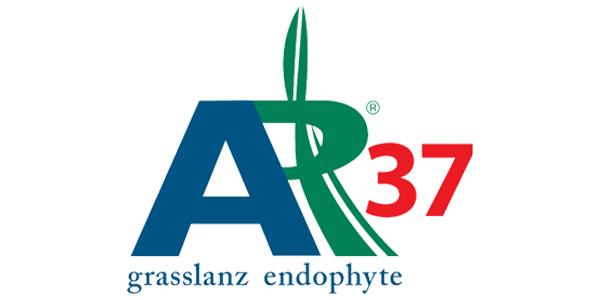 The AR37 logo