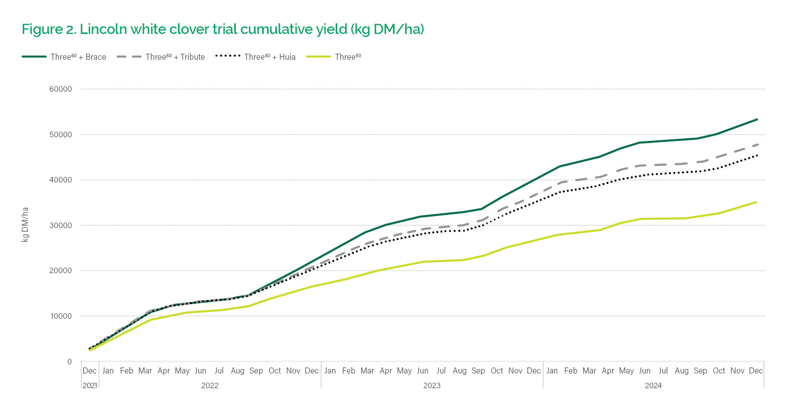 Brace white clover | Agricom NZ