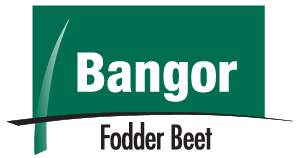 Bangor product logo