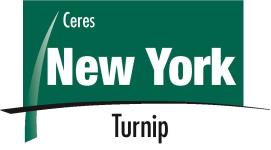 New York Product Logo