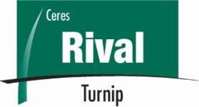 Rival turnip logo
