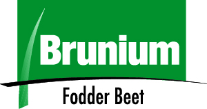 Brunium product logo