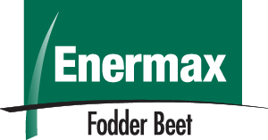 Enermax product logo