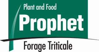 Prophet Logo