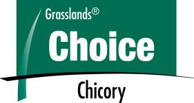 Choice Chicory Product Logo