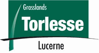 Torlesse Lucerne