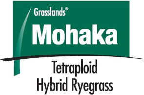 Mohaka perennial ryegrass logo