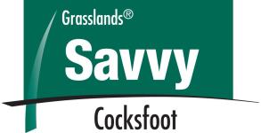 Savvy Product Logo